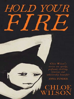 cover image of Hold Your Fire